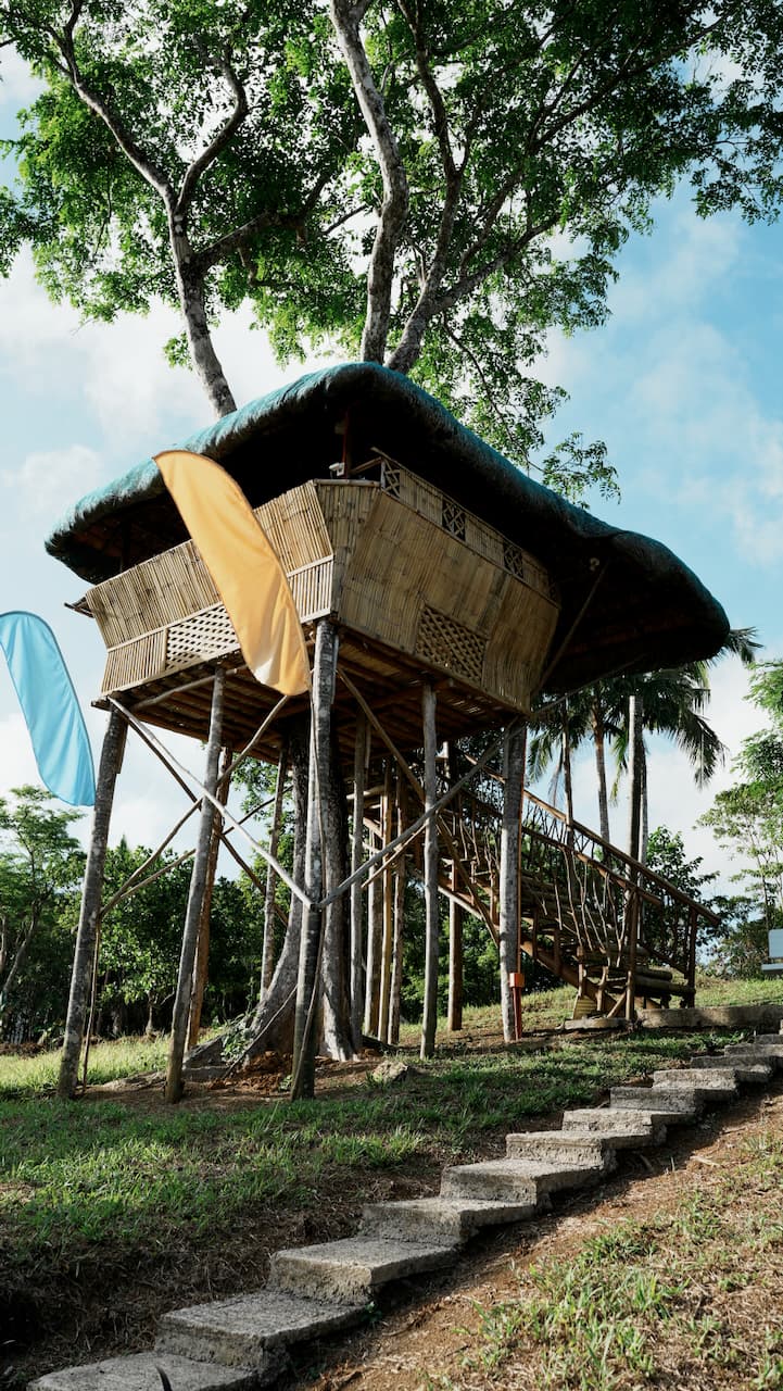 Tree House